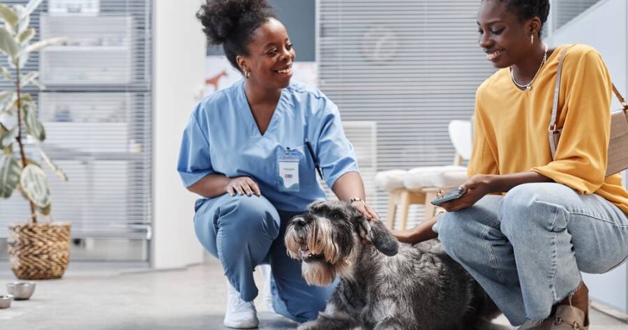 What Services Do Veterinary Clinics Offer?