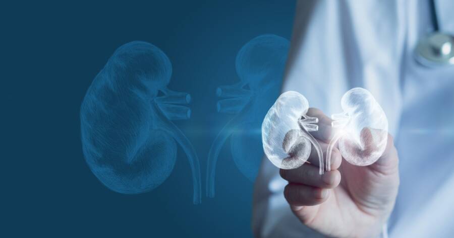 Managing Kidney Disease: Symptoms, Risk Factors, and Treatments